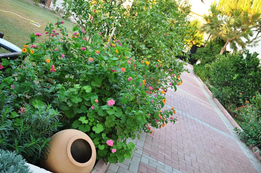 קוסדסי Mursel Garden Hotel מראה חיצוני תמונה